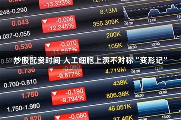 炒股配资时间 人工细胞上演不对称“变形记”