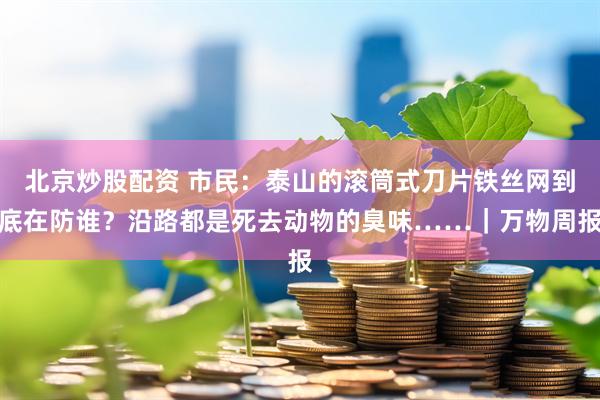 北京炒股配资 市民：泰山的滚筒式刀片铁丝网到底在防谁？沿路都是死去动物的臭味……｜万物周报